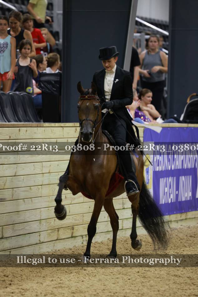 Proof 22R13_03808