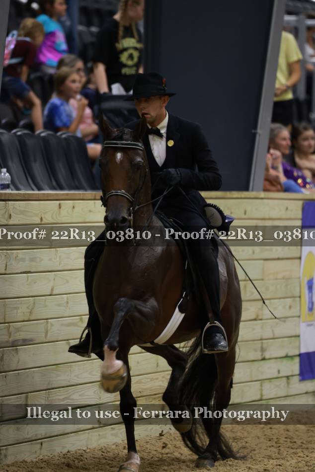 Proof 22R13_03810