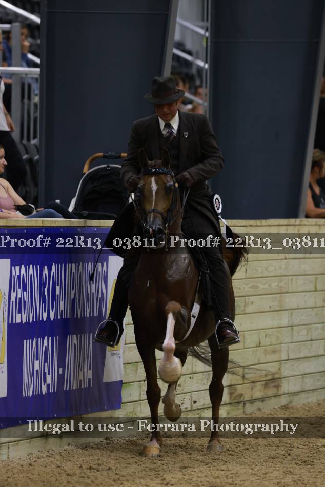 Proof 22R13_03811