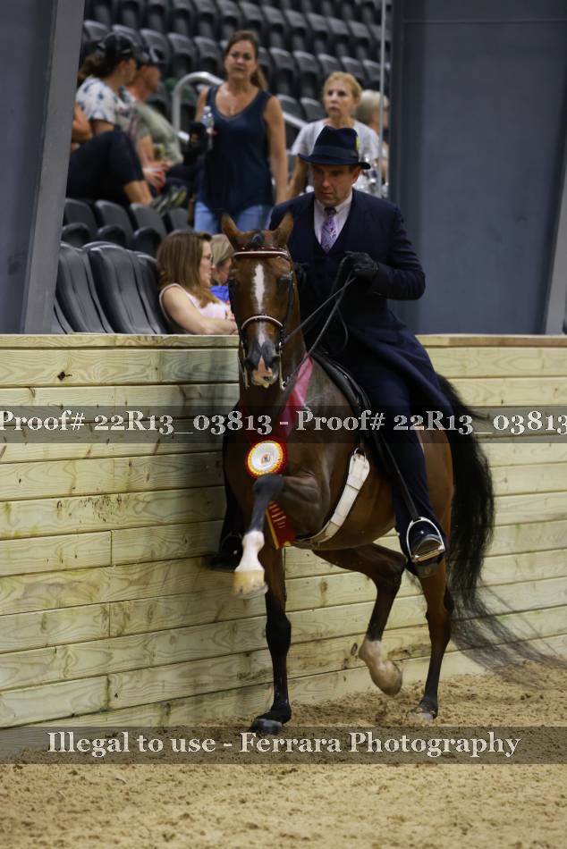 Proof 22R13_03813