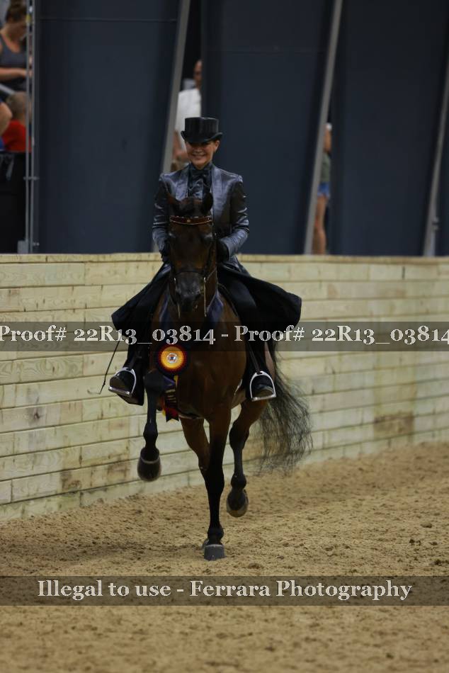 Proof 22R13_03814