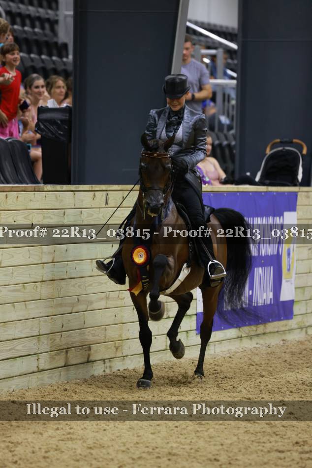 Proof 22R13_03815