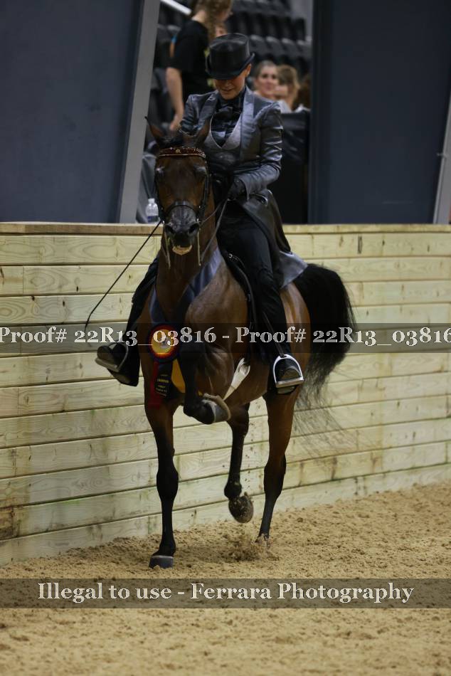 Proof 22R13_03816
