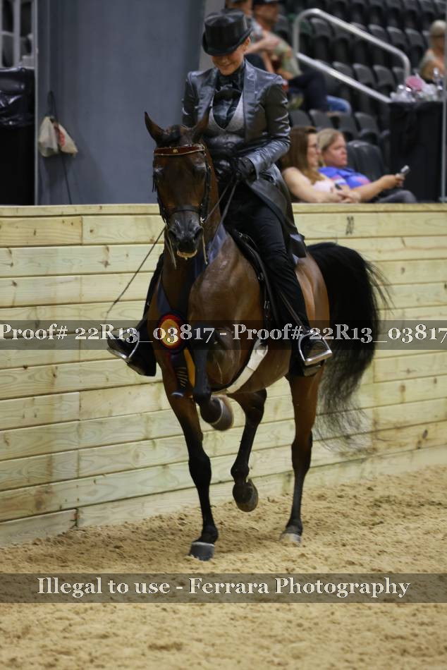 Proof 22R13_03817