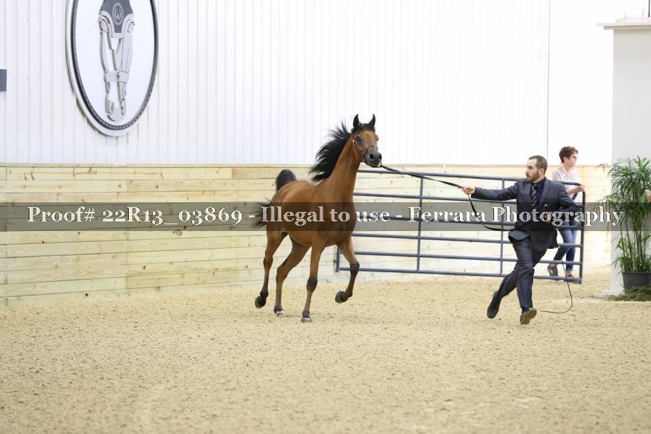 Proof 22R13_03869