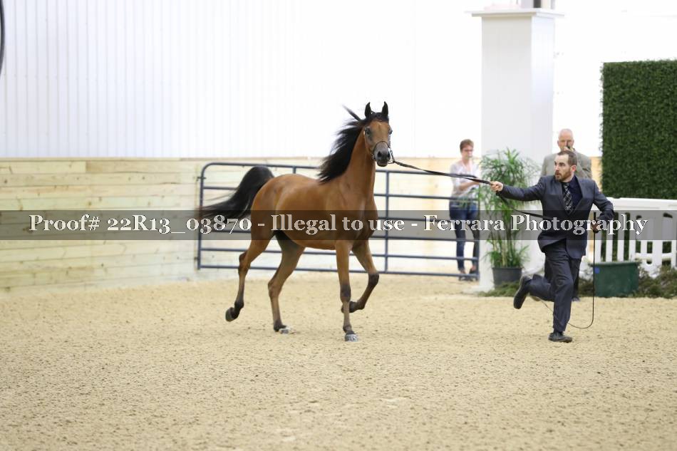 Proof 22R13_03870
