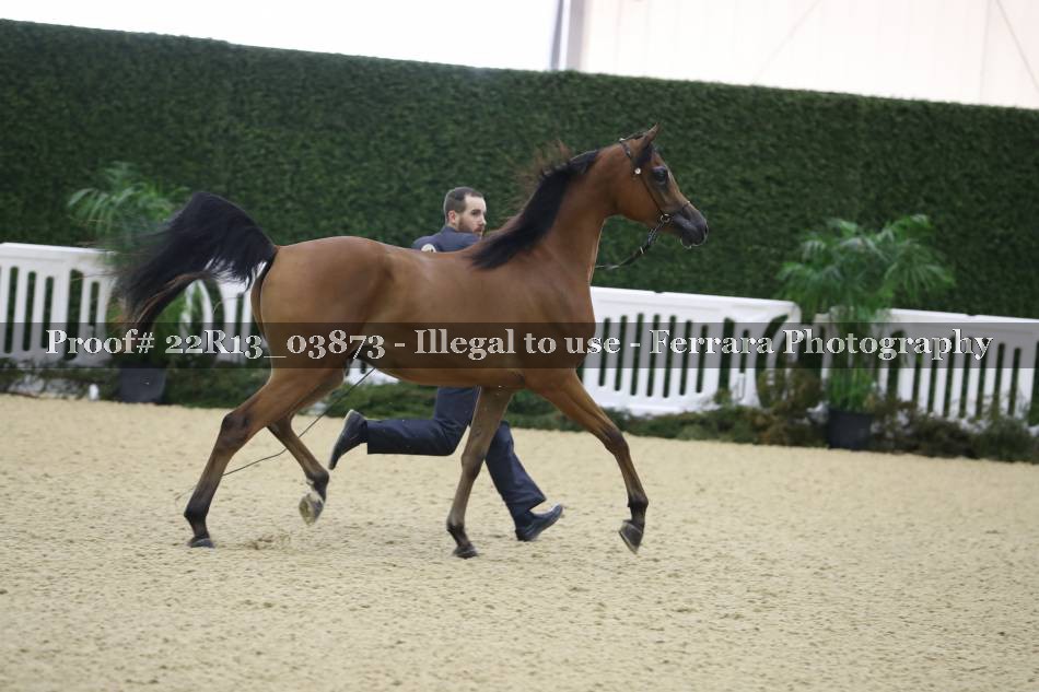 Proof 22R13_03873