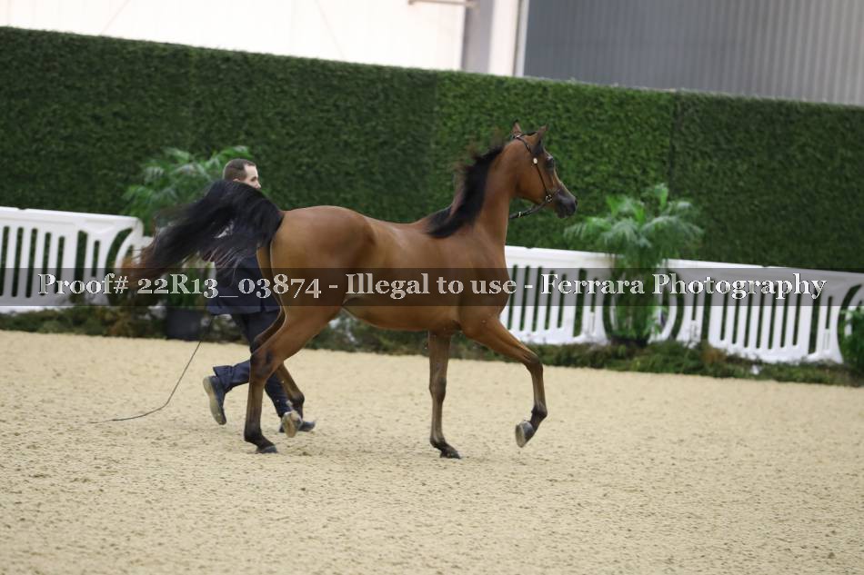 Proof 22R13_03874