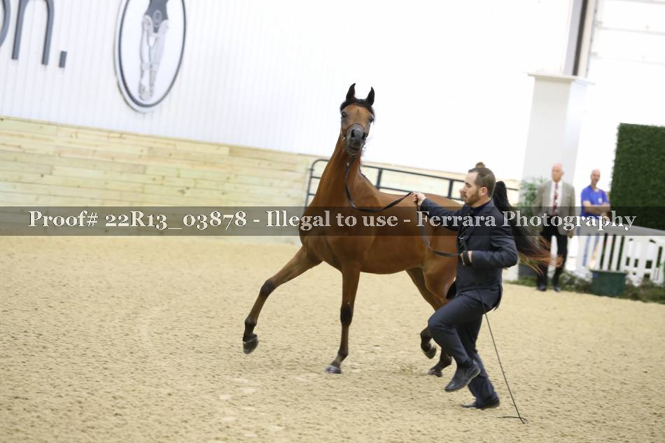 Proof 22R13_03878