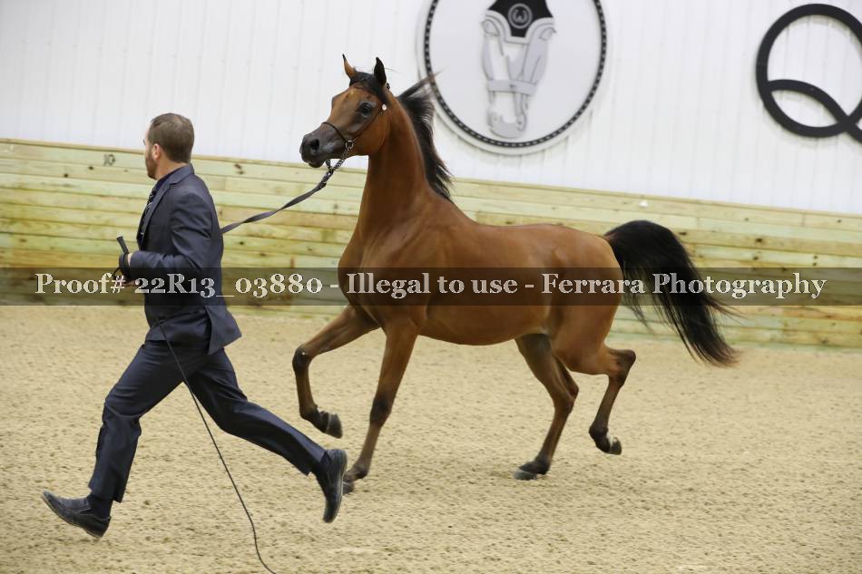 Proof 22R13_03880