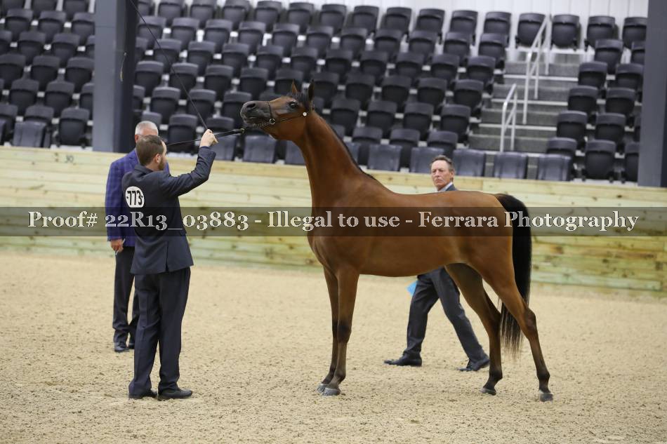 Proof 22R13_03883
