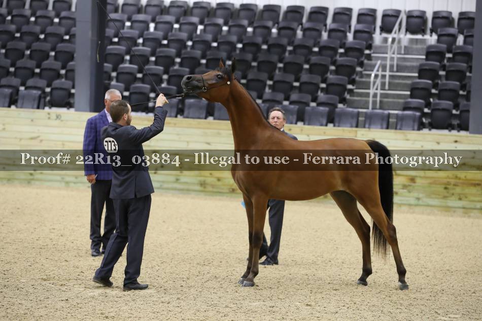 Proof 22R13_03884