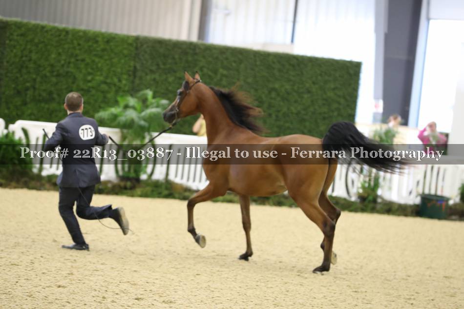 Proof 22R13_03887