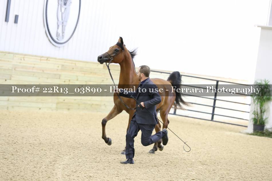 Proof 22R13_03890