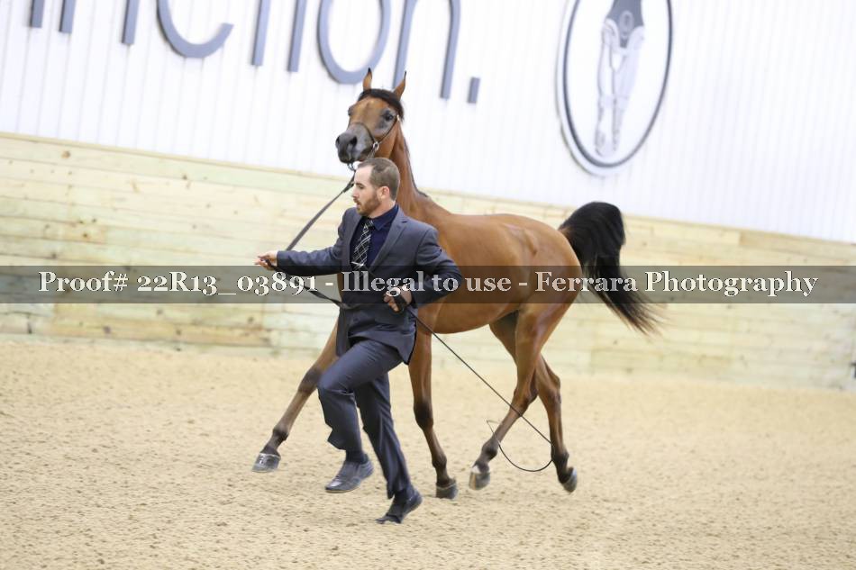 Proof 22R13_03891