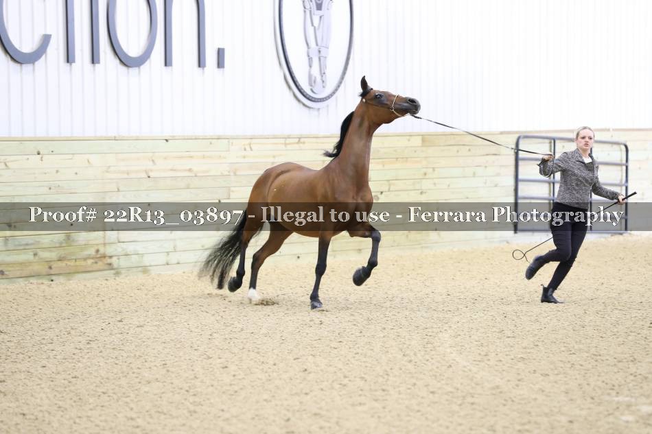 Proof 22R13_03897