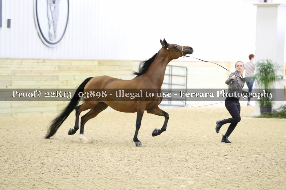 Proof 22R13_03898