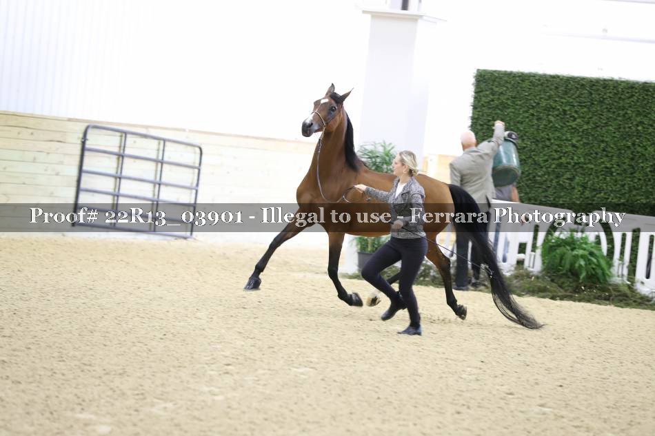 Proof 22R13_03901