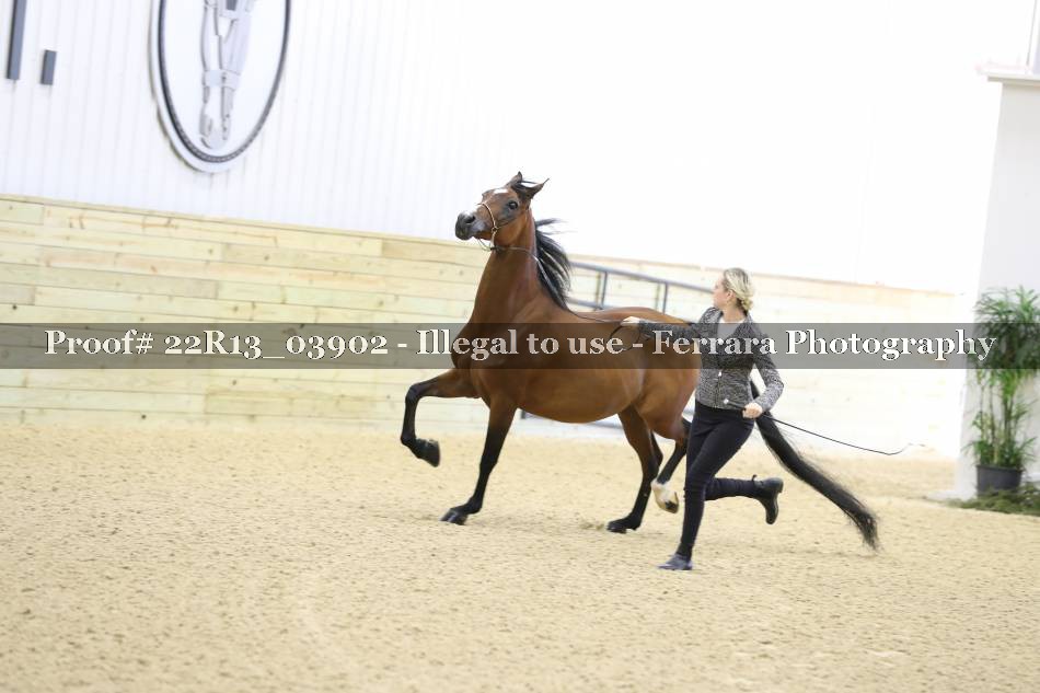 Proof 22R13_03902