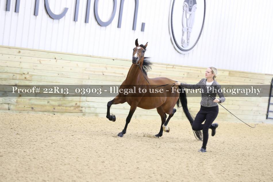 Proof 22R13_03903