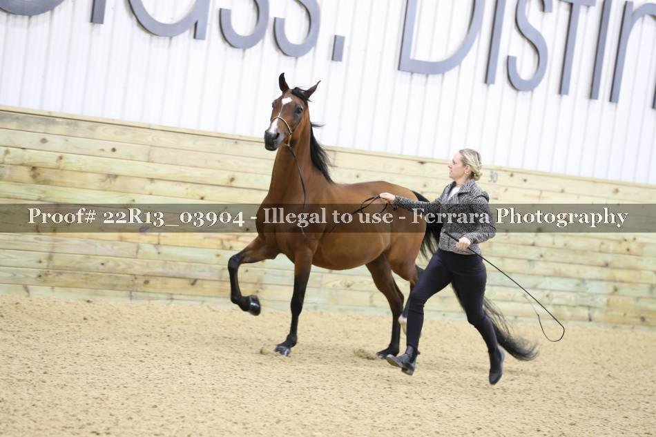 Proof 22R13_03904