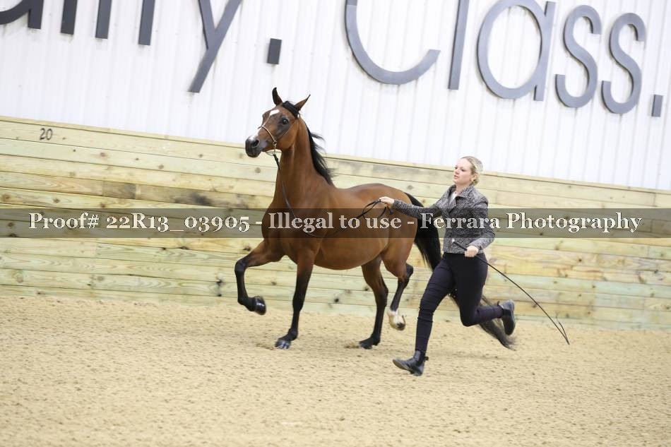 Proof 22R13_03905
