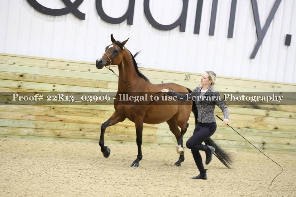 Proof 22R13_03906
