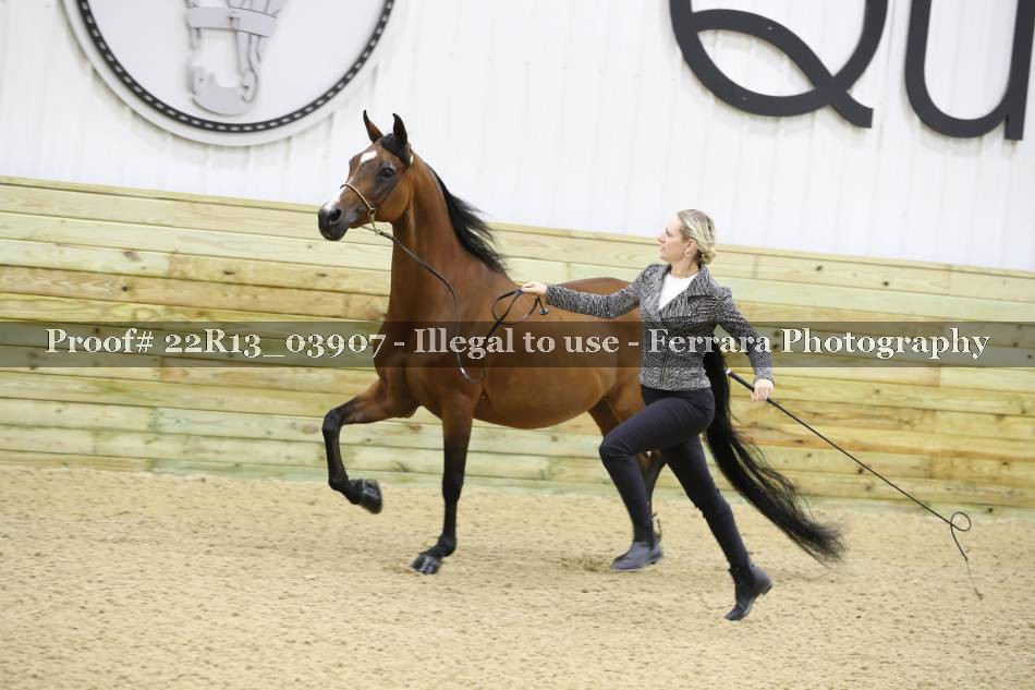Proof 22R13_03907