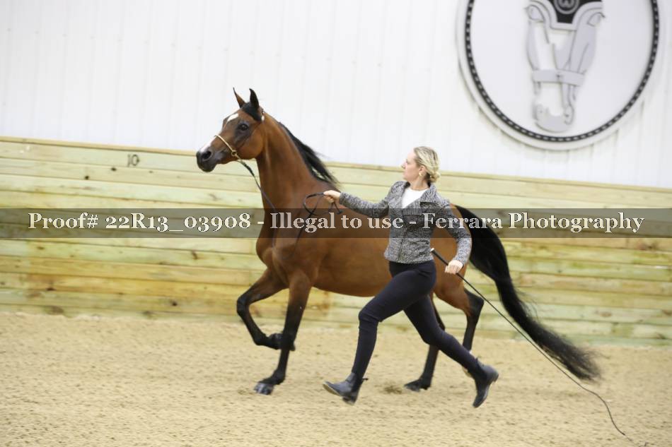 Proof 22R13_03908