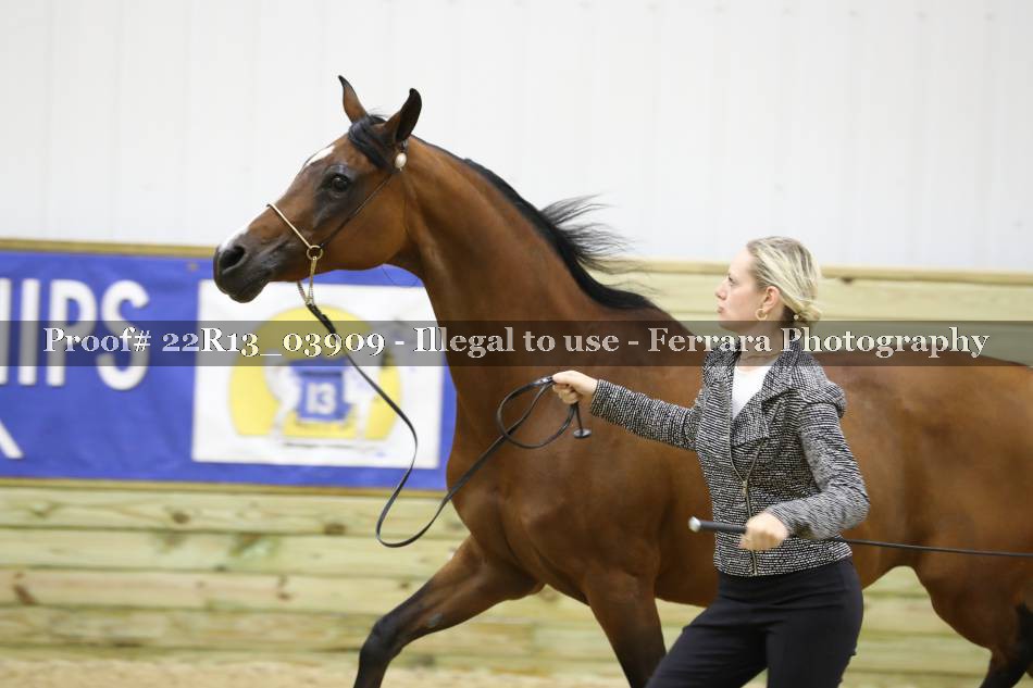 Proof 22R13_03909