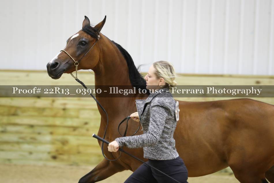 Proof 22R13_03910