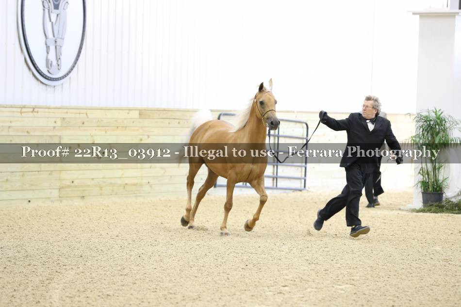 Proof 22R13_03912