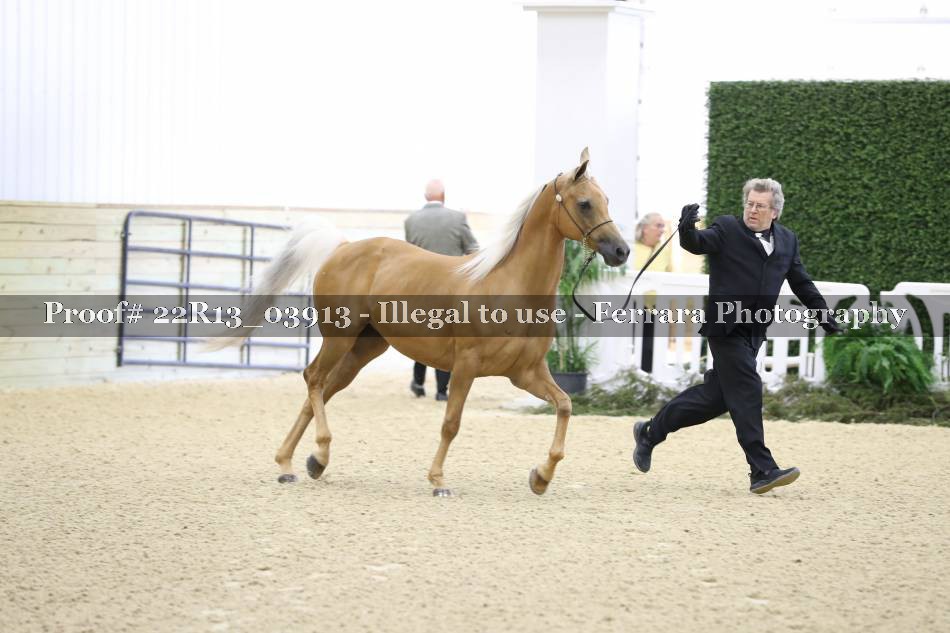 Proof 22R13_03913