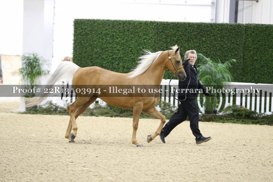 Proof 22R13_03914