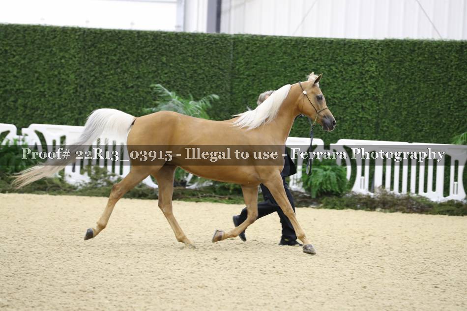 Proof 22R13_03915