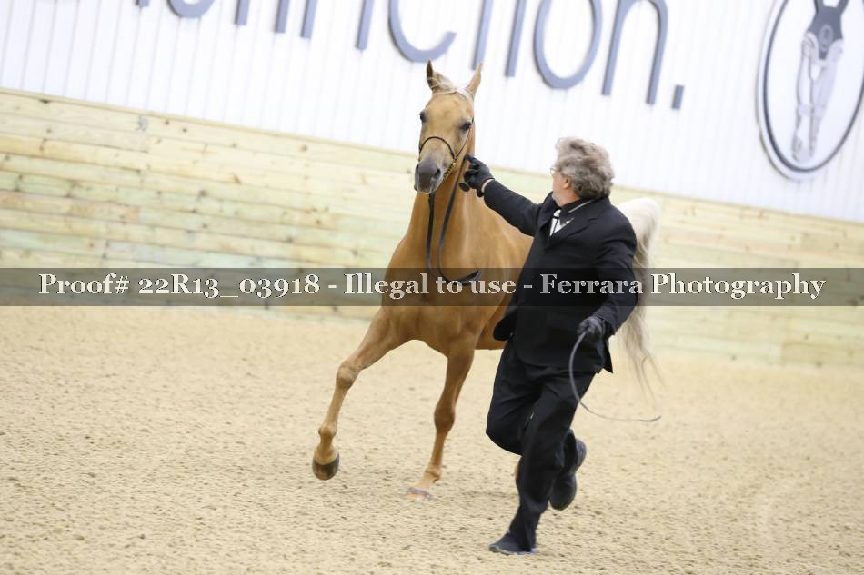 Proof 22R13_03918
