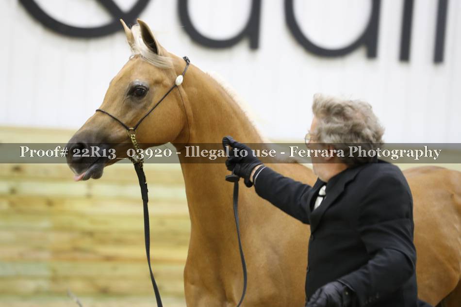 Proof 22R13_03920