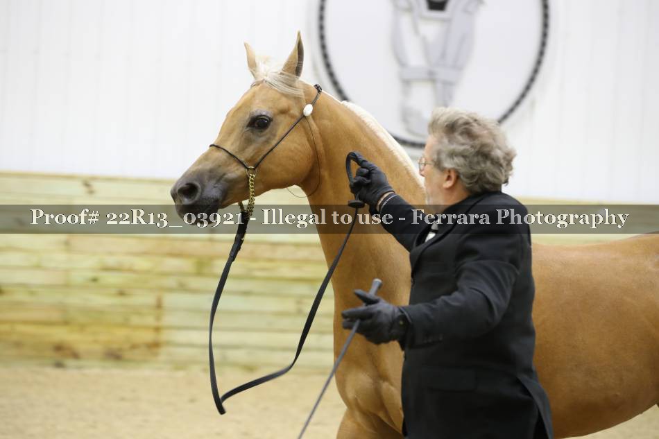Proof 22R13_03921