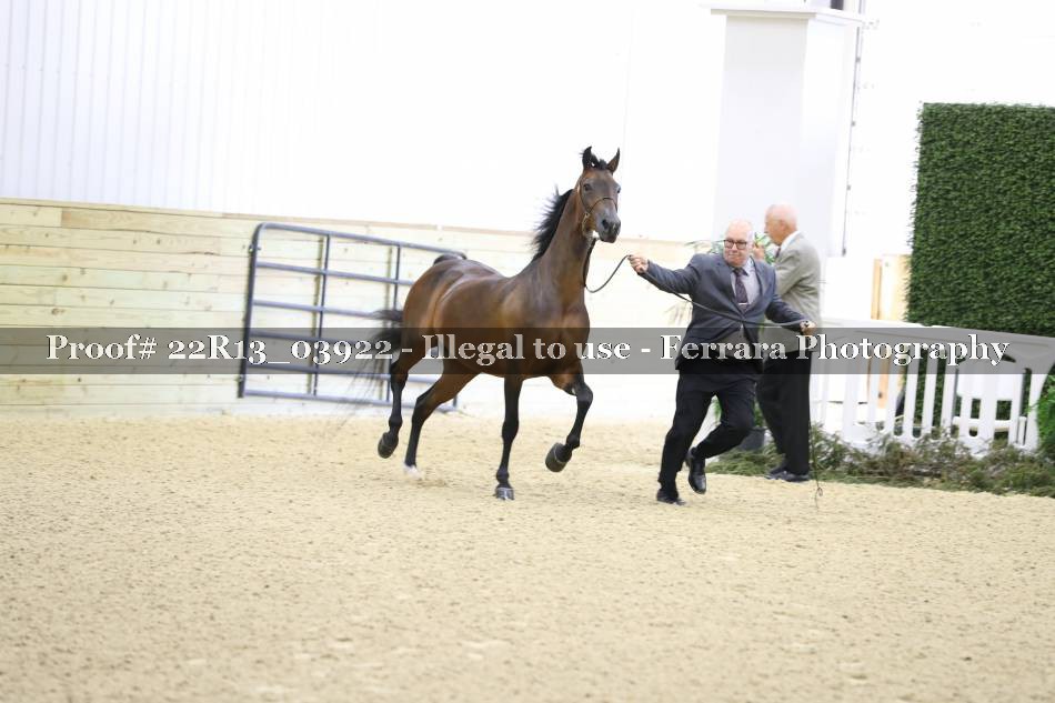 Proof 22R13_03922