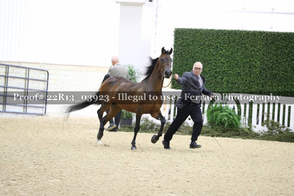 Proof 22R13_03923