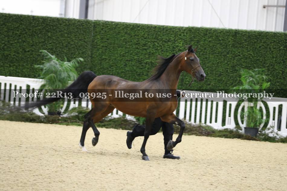 Proof 22R13_03925