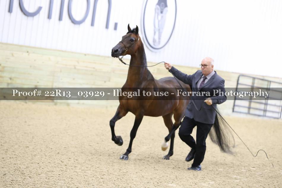 Proof 22R13_03929