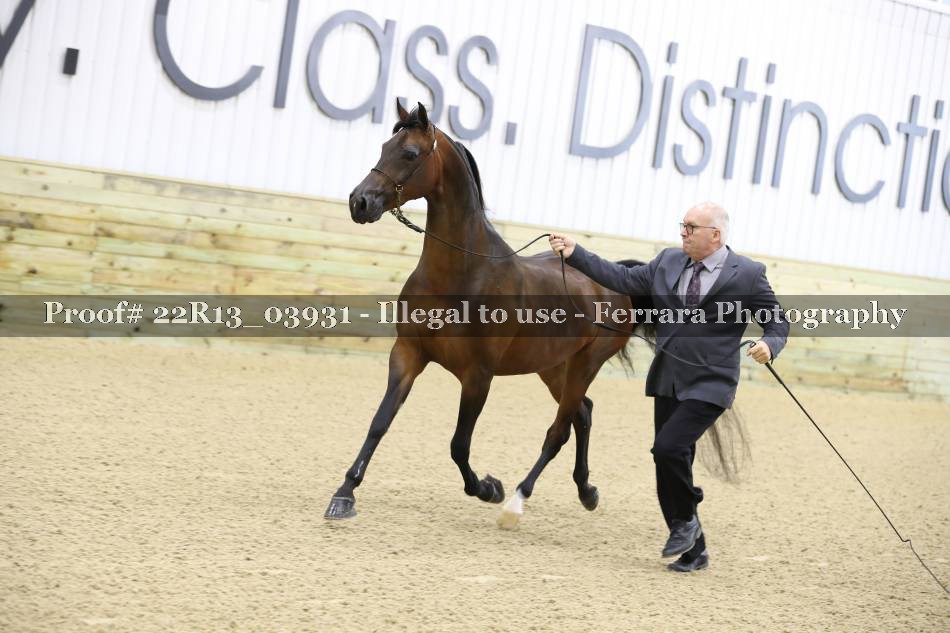 Proof 22R13_03931