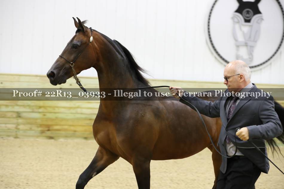 Proof 22R13_03933