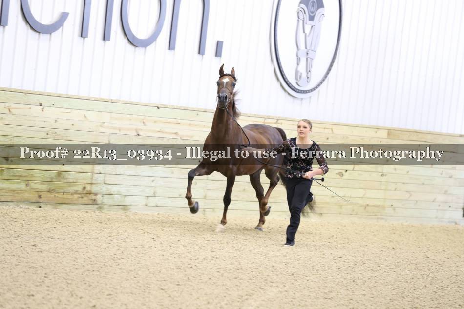 Proof 22R13_03934