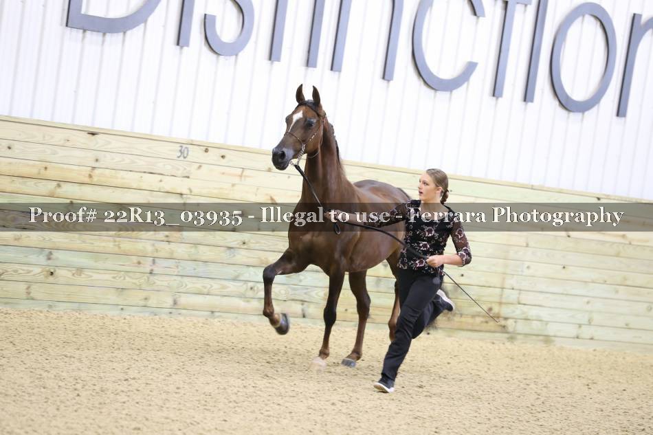 Proof 22R13_03935