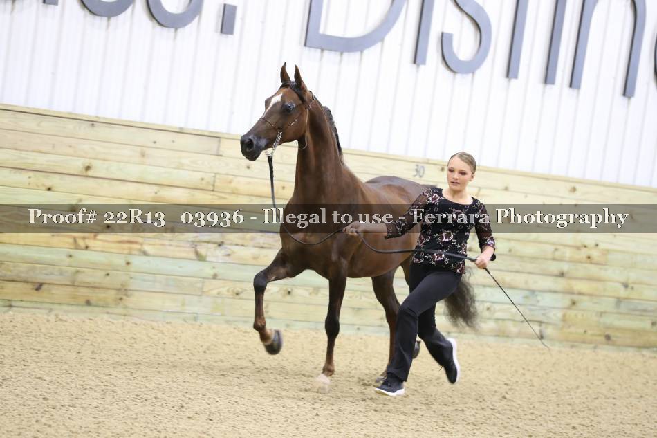 Proof 22R13_03936