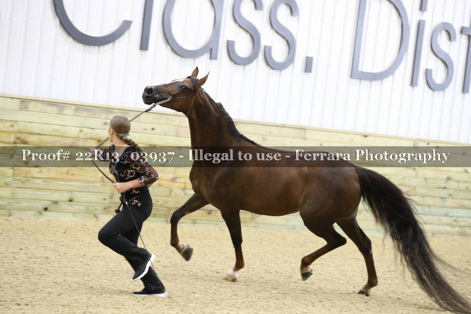 Proof 22R13_03937