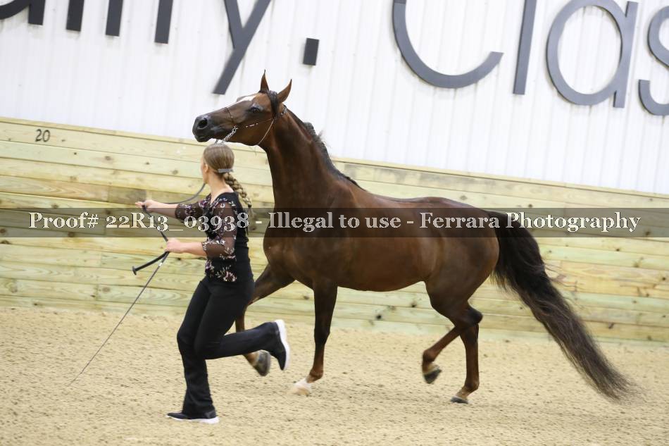 Proof 22R13_03938