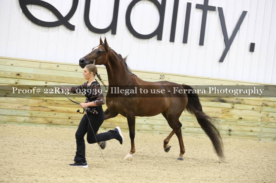 Proof 22R13_03939